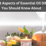 Different Aspects of Essential Oil Diffusers You Should Know About